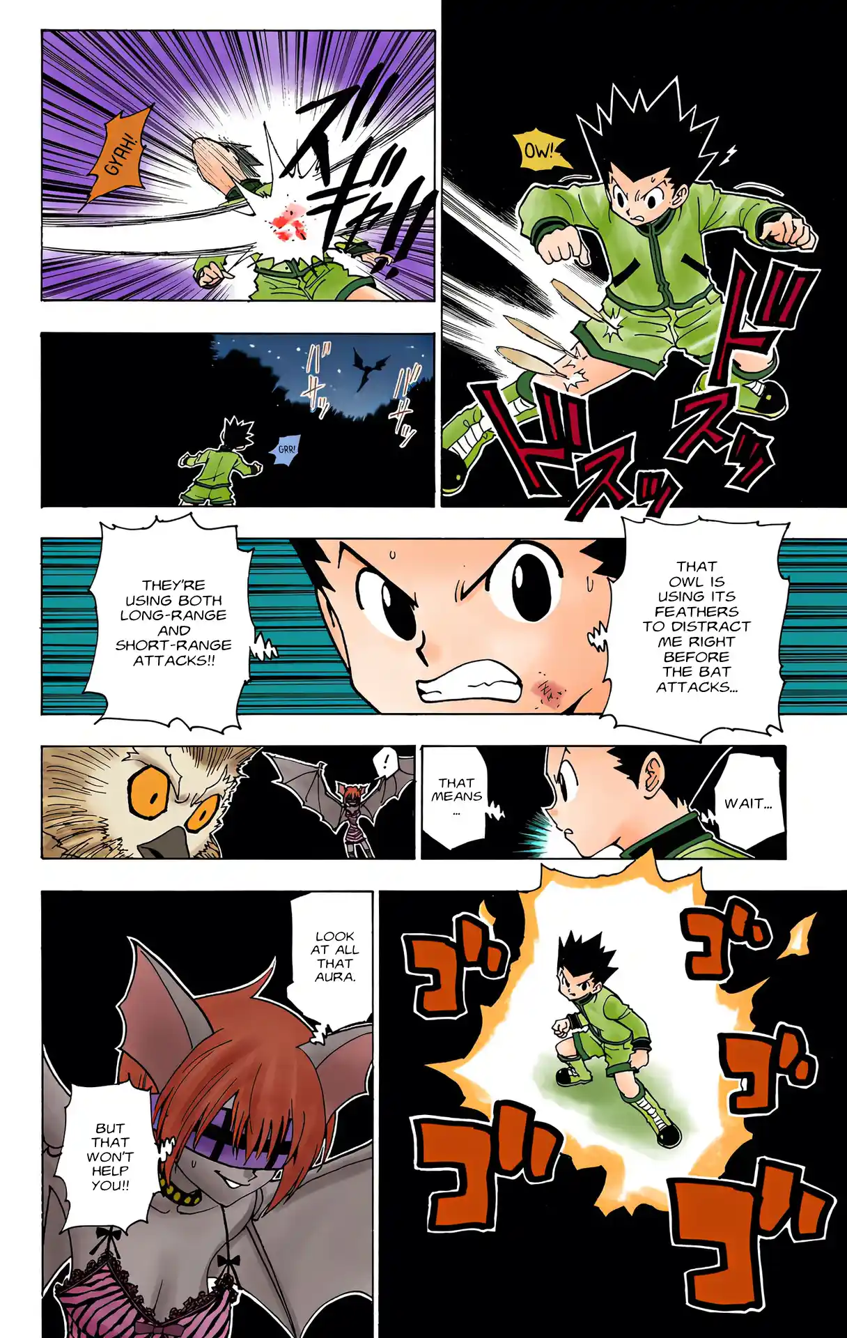 Hunter X Hunter Full Color Vol.22 Chapter 232