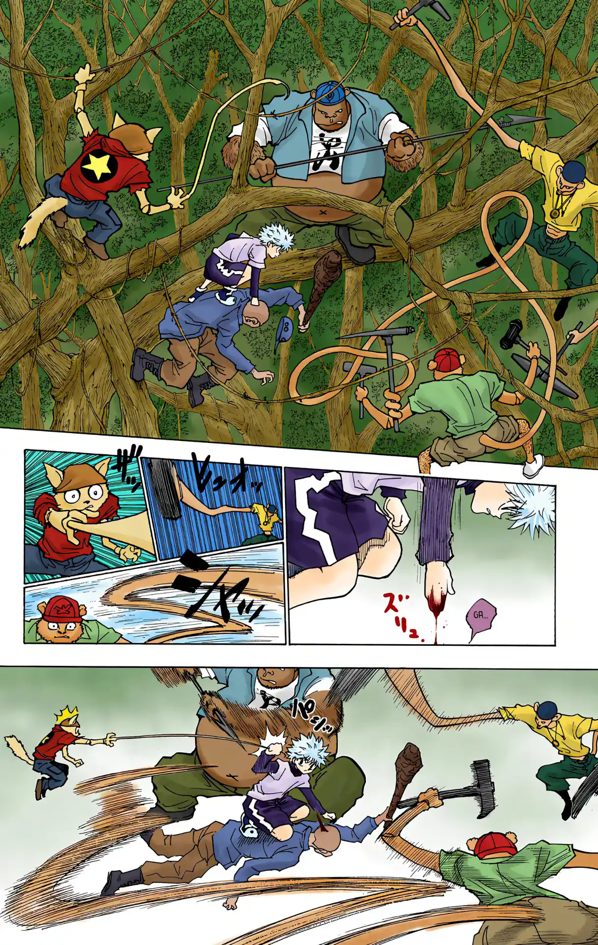 Hunter X Hunter Full Color Vol.23 Chapter 236