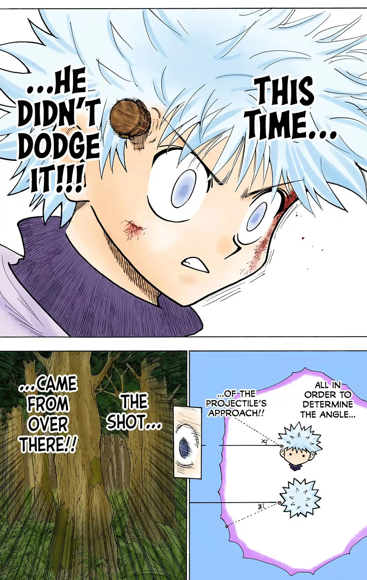 Hunter X Hunter Full Color Vol.23 Chapter 237