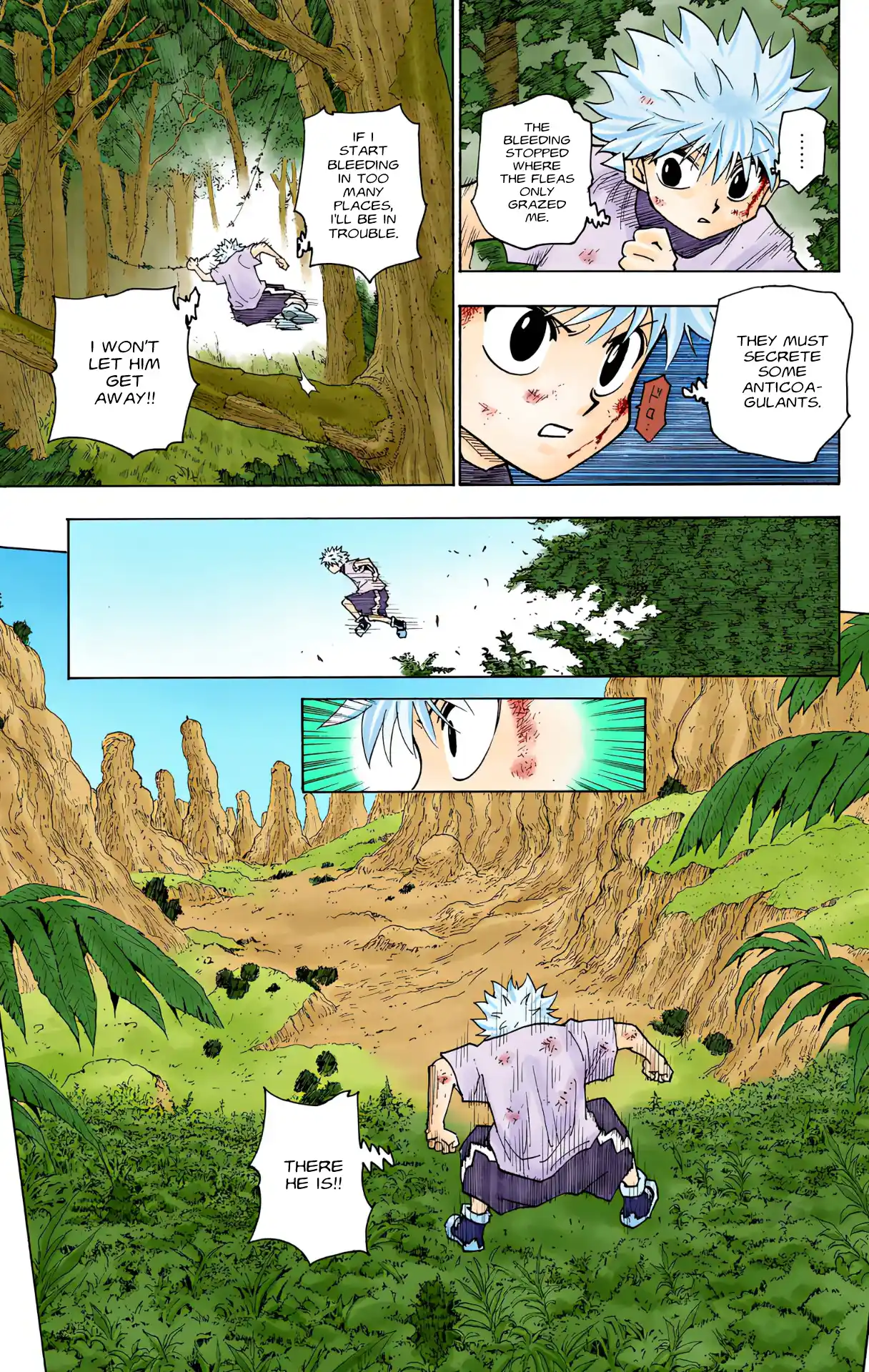 Hunter X Hunter Full Color Vol.23 Chapter 237