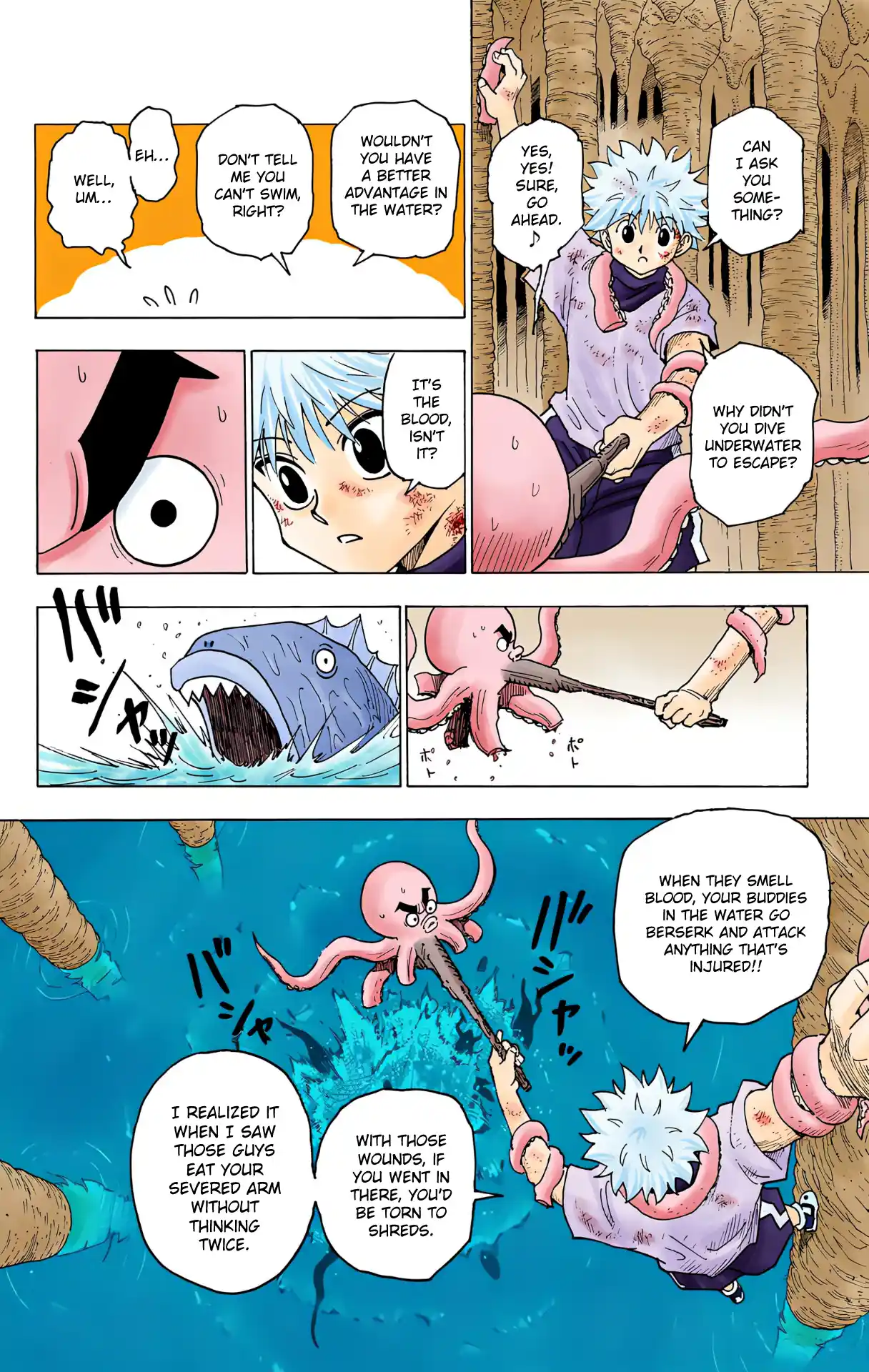 Hunter X Hunter Full Color Vol.23 Chapter 238