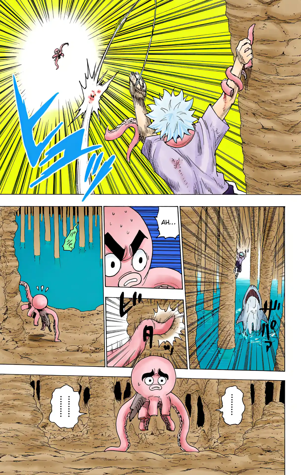 Hunter X Hunter Full Color Vol.23 Chapter 238