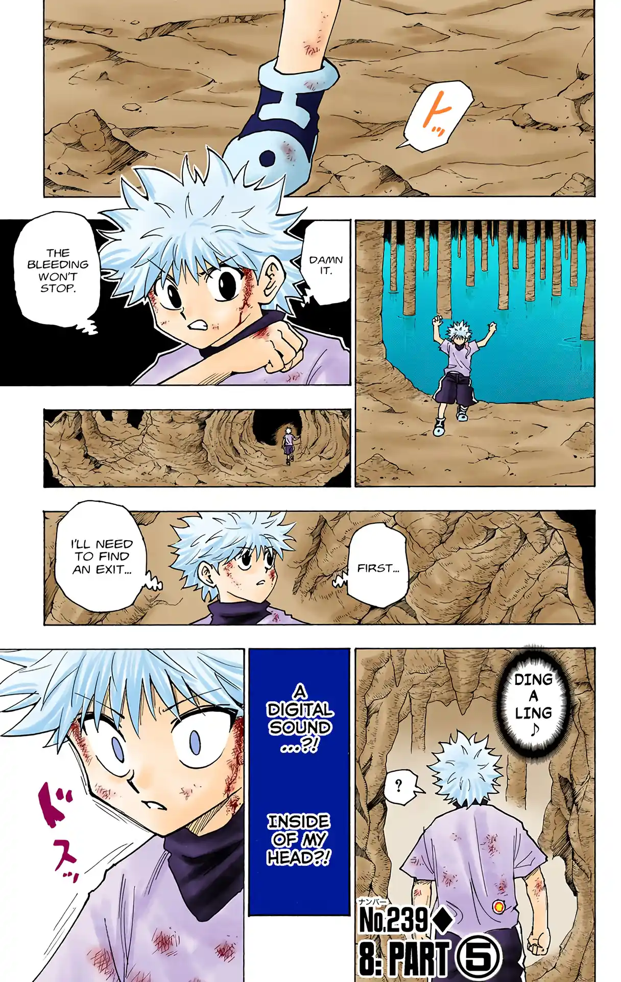 Hunter X Hunter Full Color Vol.23 Chapter 239