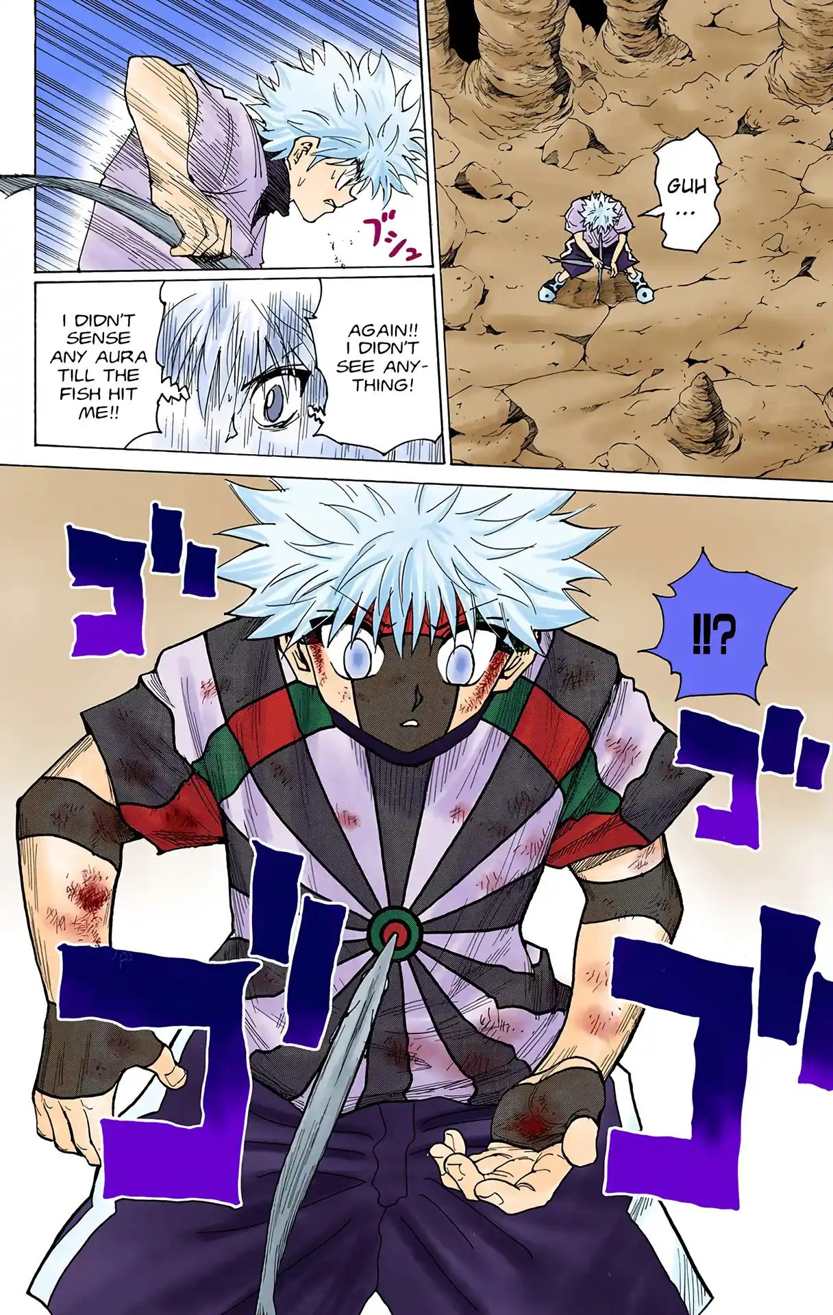 Hunter X Hunter Full Color Vol.23 Chapter 239