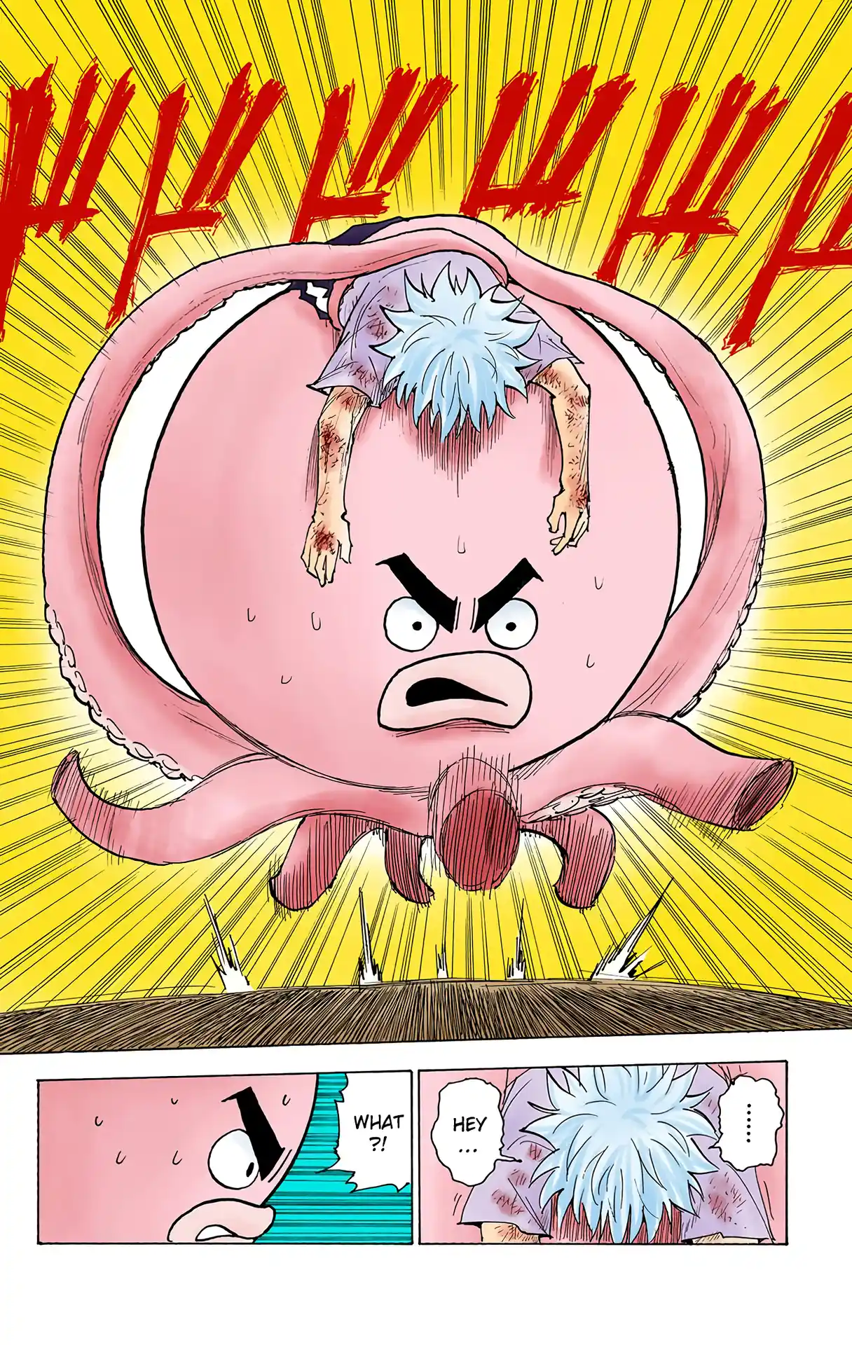 Hunter X Hunter Full Color Vol.23 Chapter 241