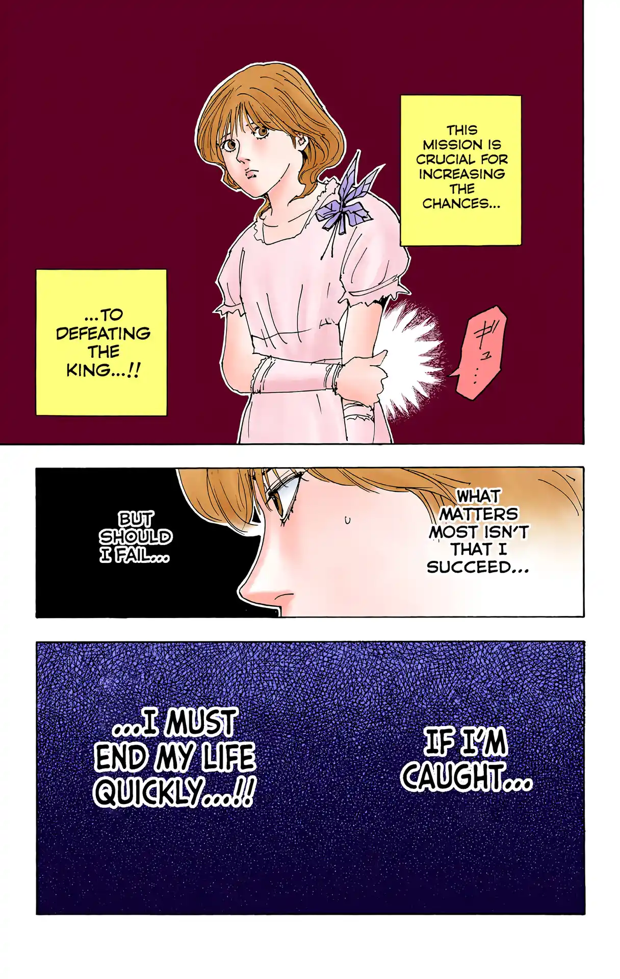 Hunter X Hunter Full Color Vol.24 Chapter 252