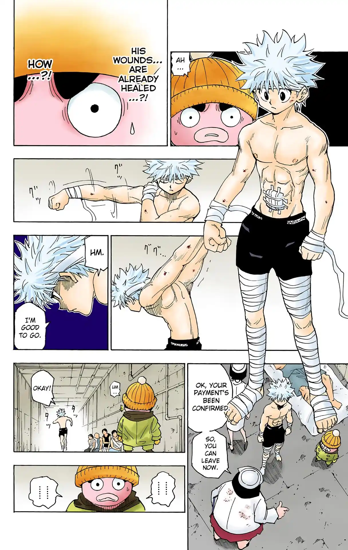 Hunter X Hunter Full Color Vol.24 Chapter 255