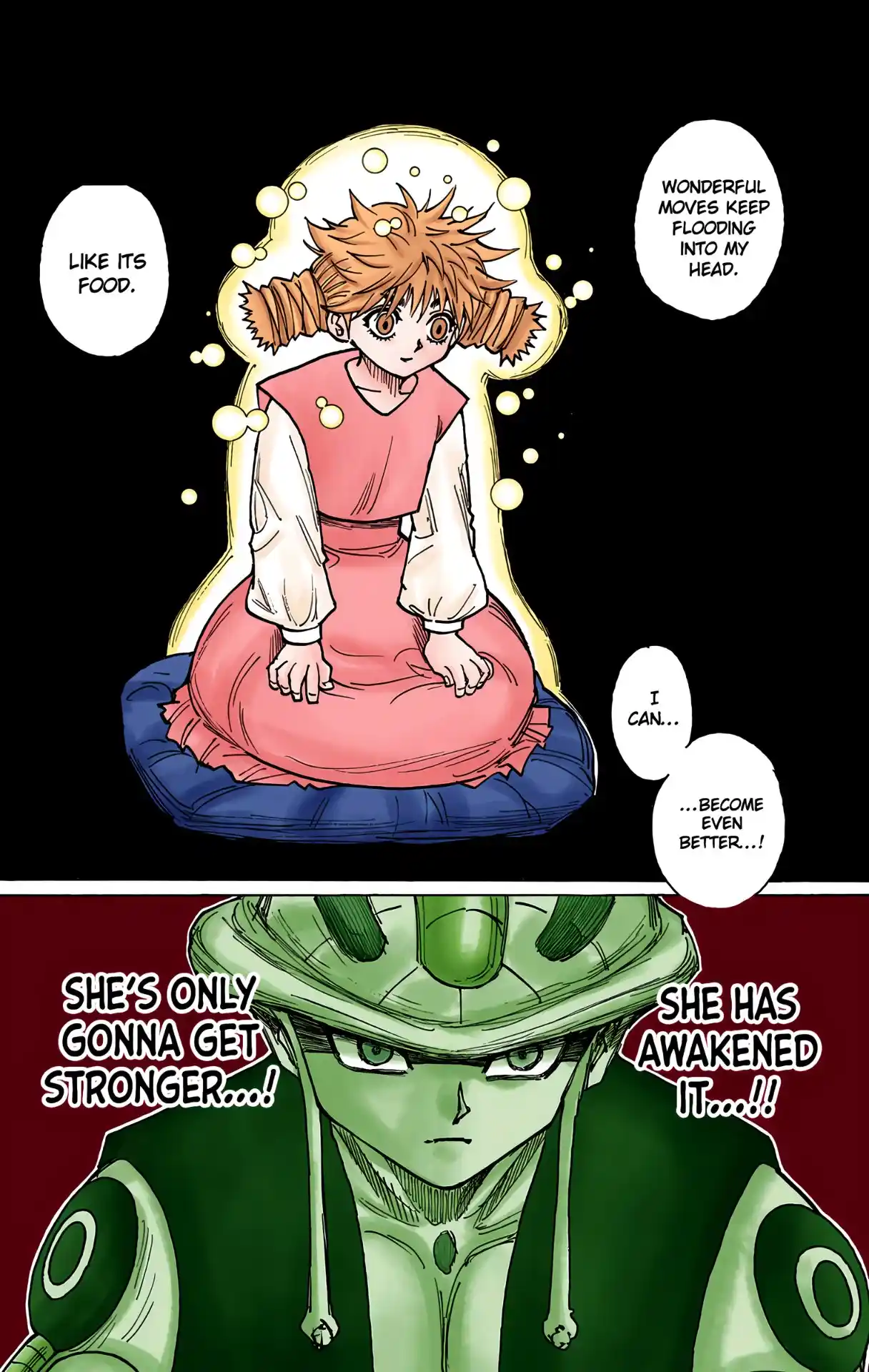 Hunter X Hunter Full Color Vol.24 Chapter 257