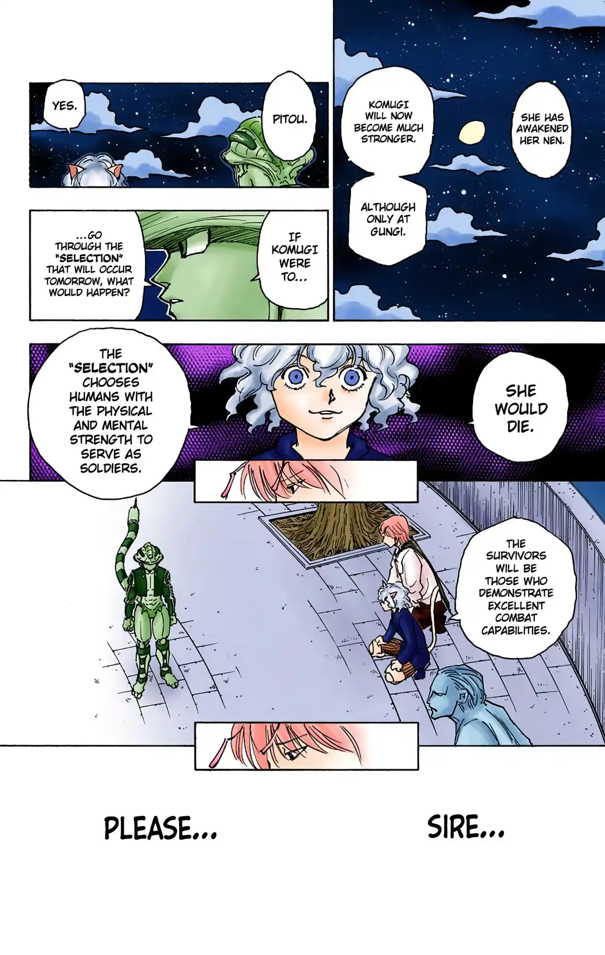 Hunter X Hunter Full Color Vol.24 Chapter 257