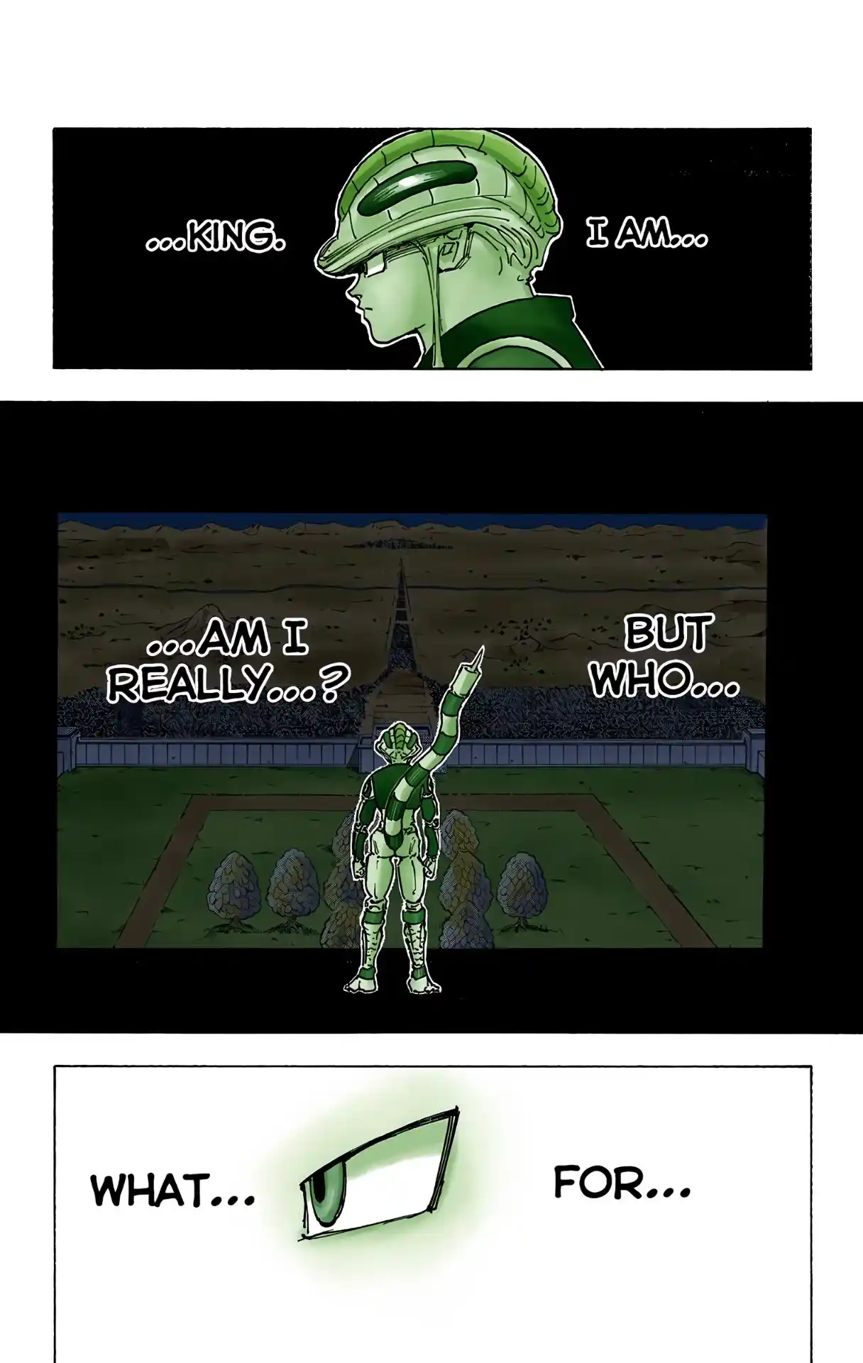 Hunter X Hunter Full Color Vol.24 Chapter 260