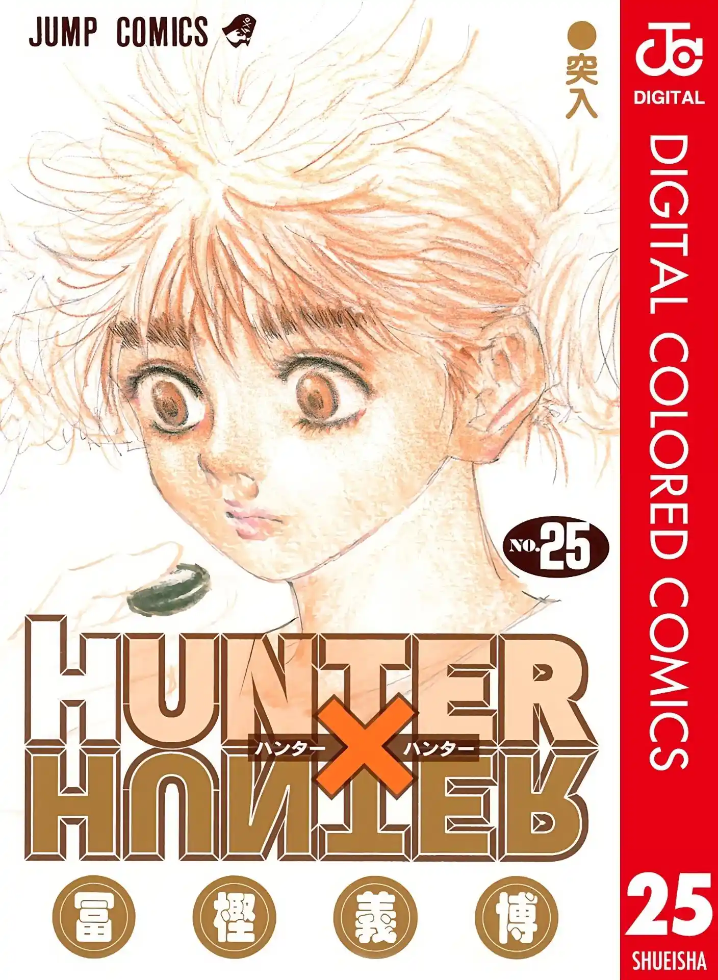 Hunter X Hunter Full Color Vol.25 Chapter 261
