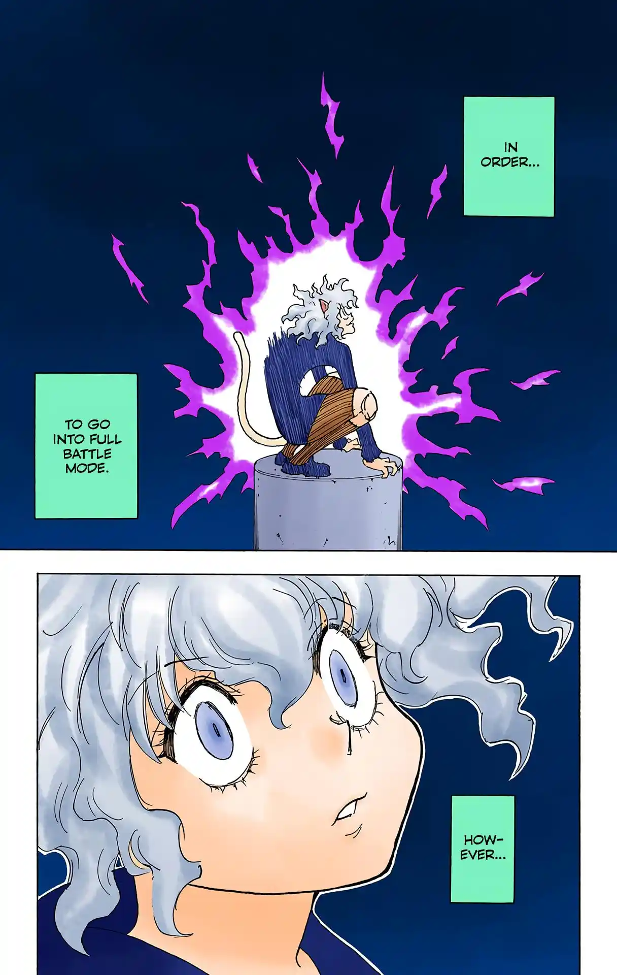 Hunter X Hunter Full Color Vol.25 Chapter 263
