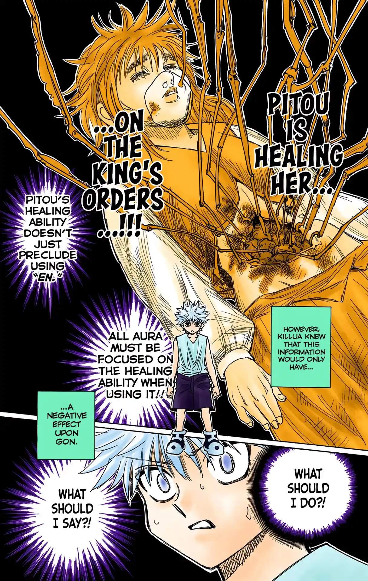 Hunter X Hunter Full Color Vol.26 Chapter 274