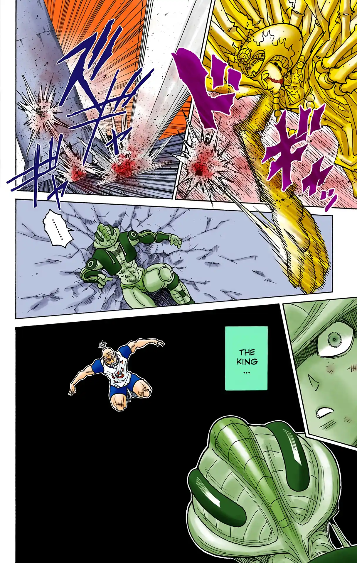 Hunter X Hunter Full Color Vol.28 Chapter 292