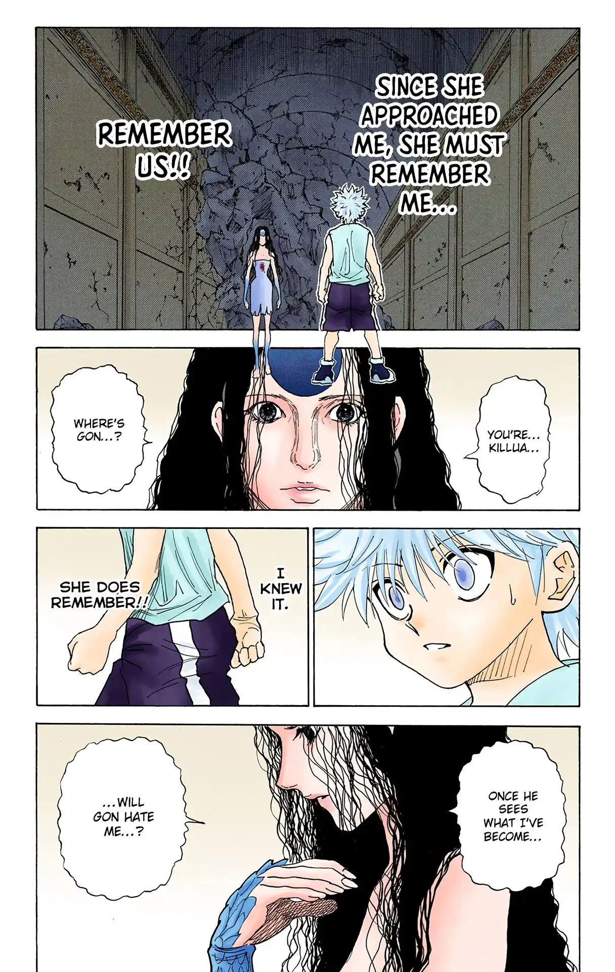 Hunter X Hunter Full Color Vol.28 Chapter 293