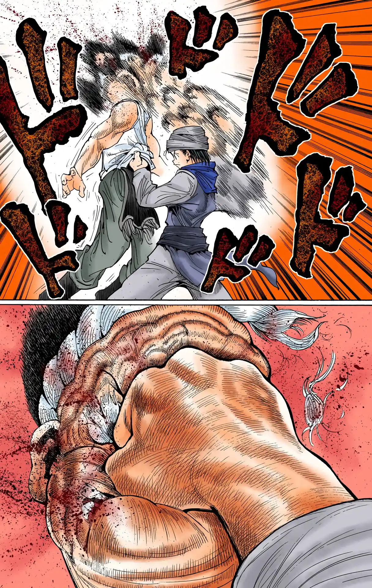 Hunter X Hunter Full Color Vol.33 Chapter 343