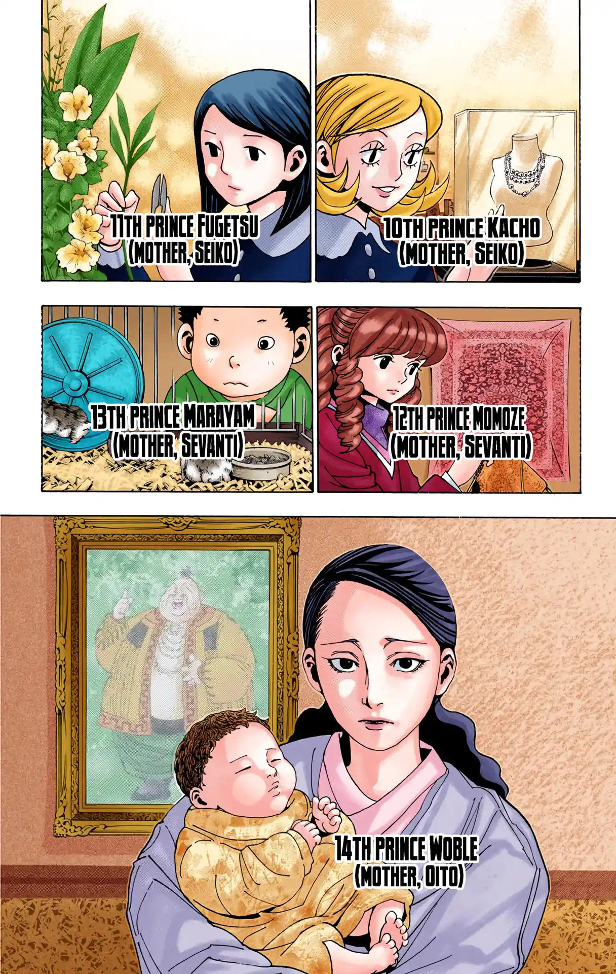 Hunter X Hunter Full Color Vol.33 Chapter 349
