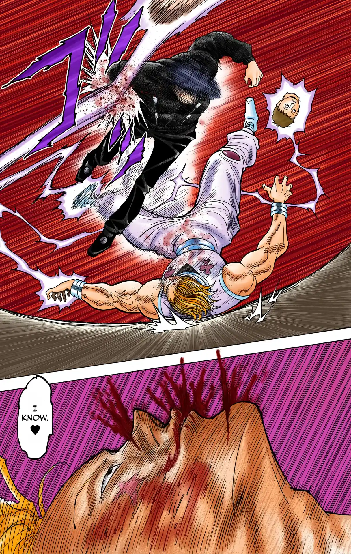 Hunter X Hunter Full Color Vol.34 Chapter 353