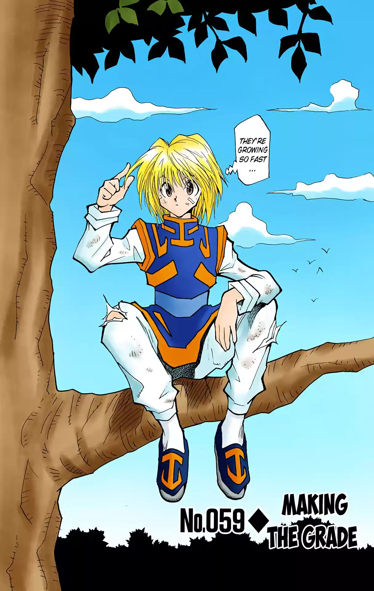 Hunter X Hunter Full Color Vol.7 Chapter 59: Making The Grade