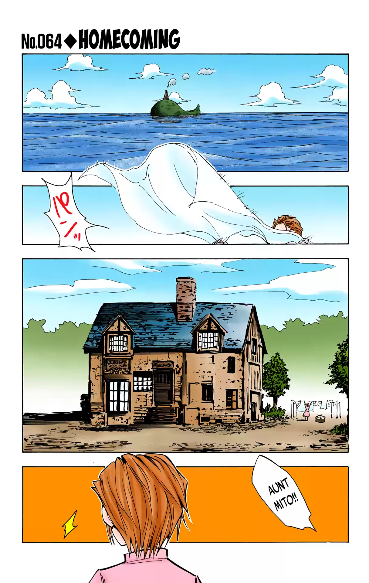 Hunter X Hunter Full Color Vol.8 Chapter 64: Homecoming