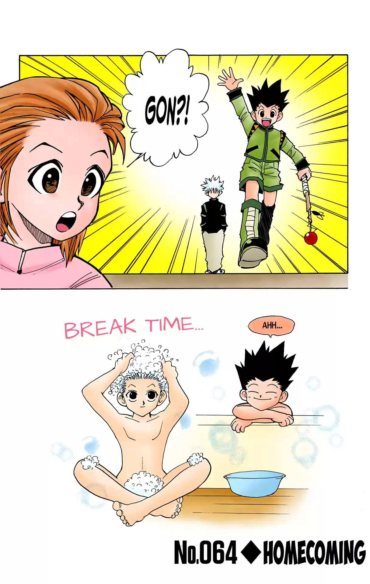 Hunter X Hunter Full Color Vol.8 Chapter 64: Homecoming