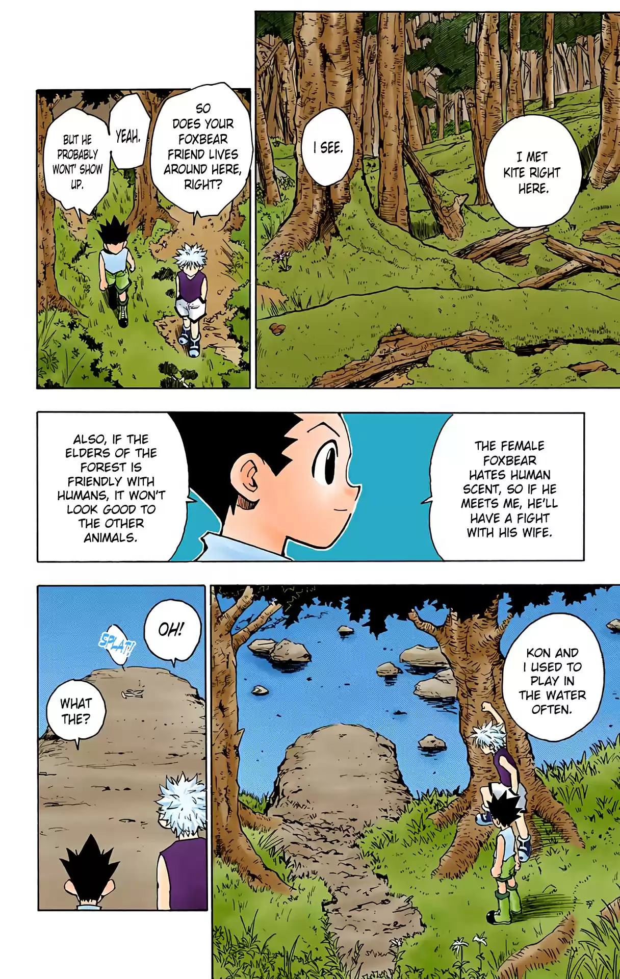 Hunter X Hunter Full Color Vol.8 Chapter 64: Homecoming