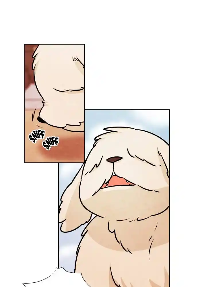 Hwarang: Flower Knights Of The Underworld Chapter 11