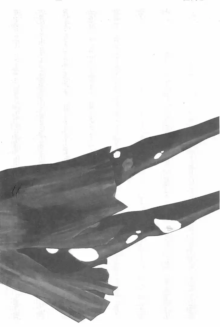 Hyouryuu Net Cafe 10