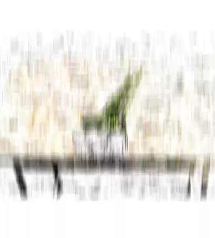 Hypnosis School Chapter 7