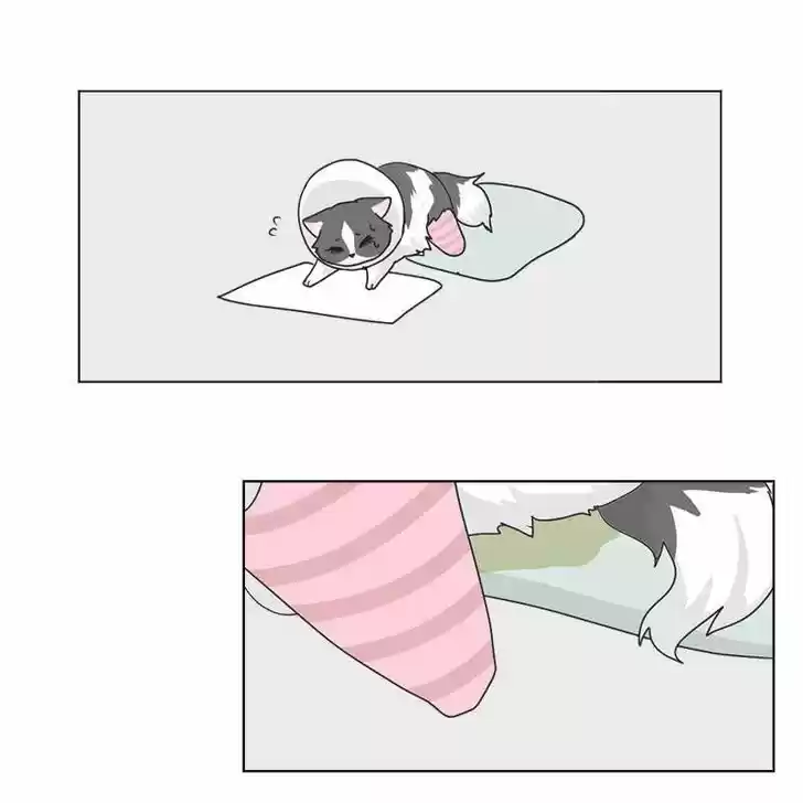 I Gave Birth to a Dog Ch.006