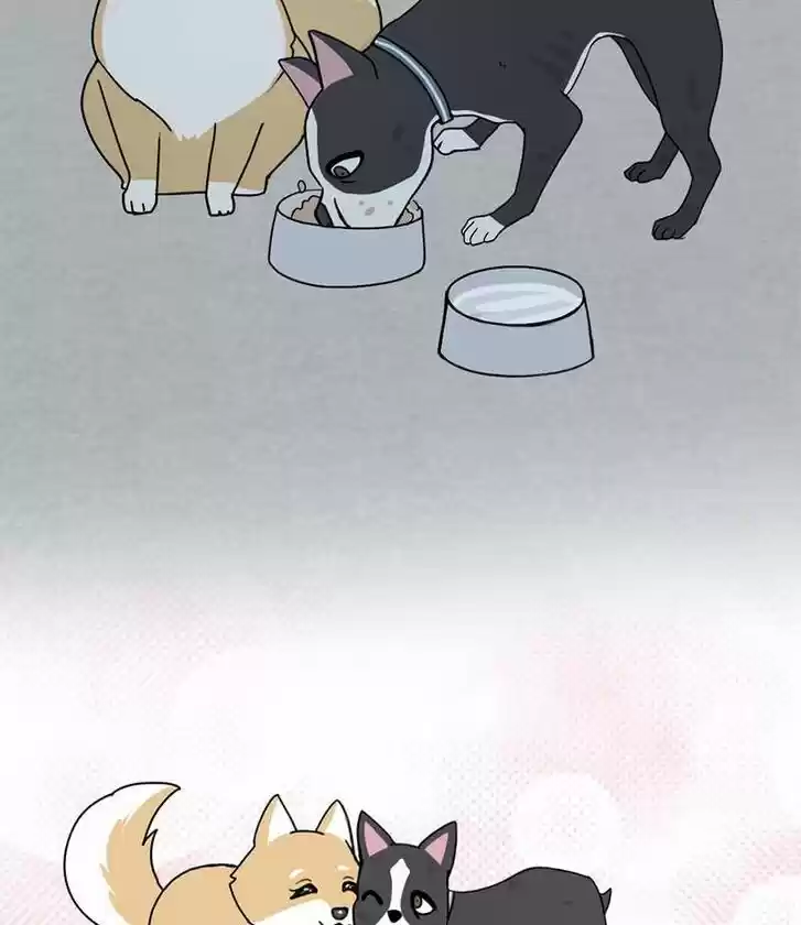 I Gave Birth to a Dog Ch.017