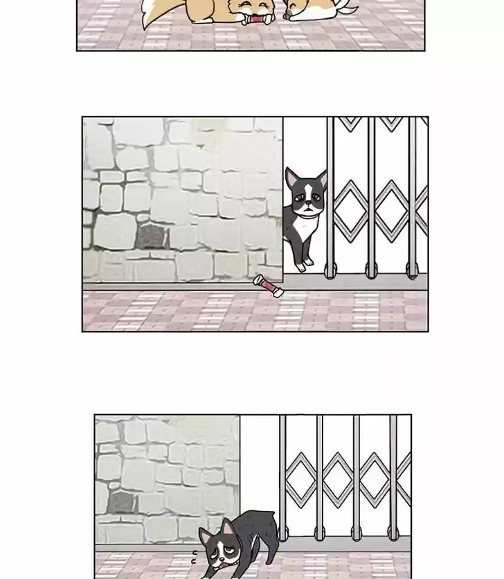 I Gave Birth to a Dog Ch.017