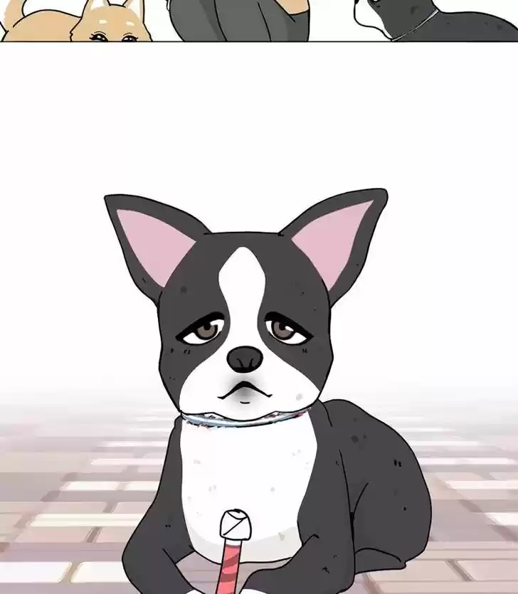 I Gave Birth to a Dog Ch.017