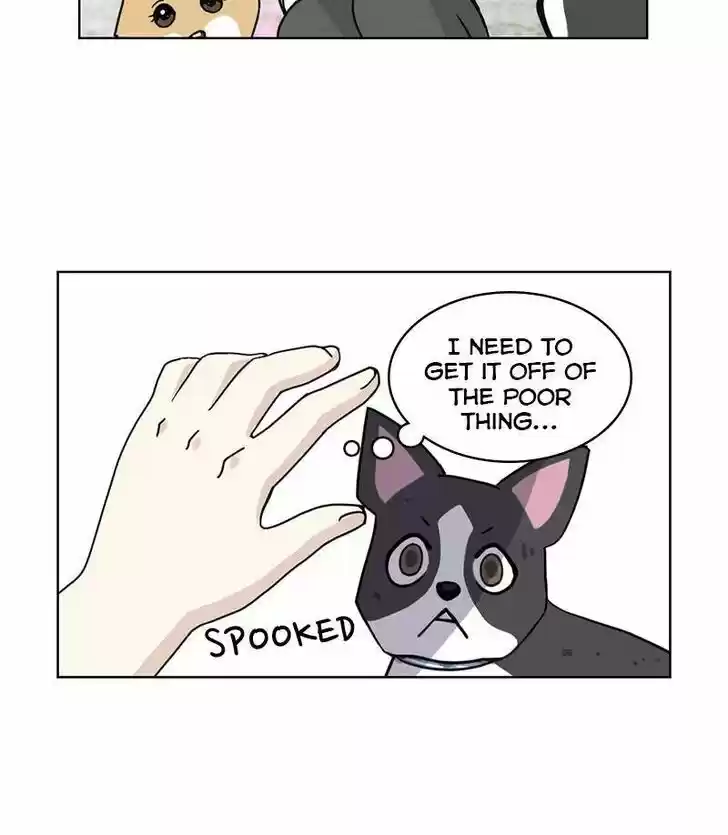 I Gave Birth to a Dog Ch.017