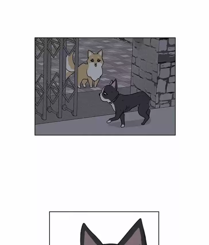 I Gave Birth to a Dog Ch.019