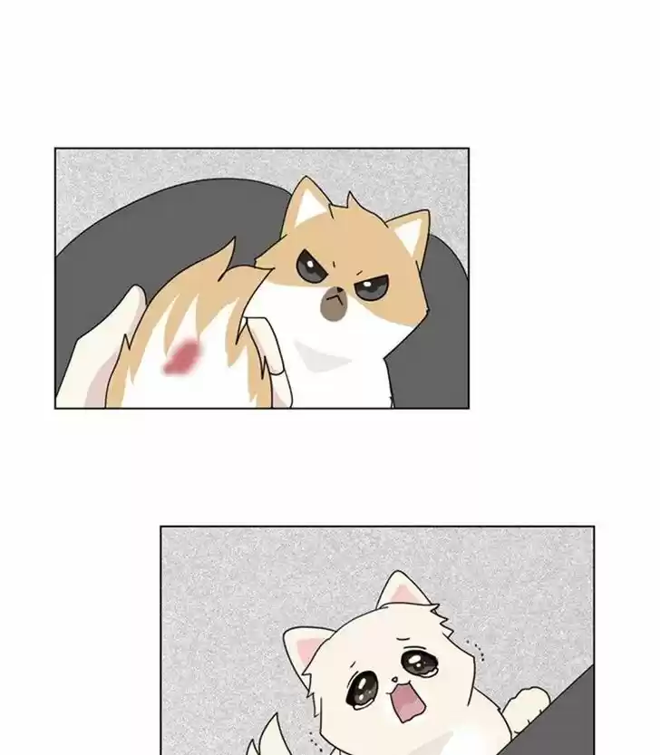 I Gave Birth to a Dog Ch.028