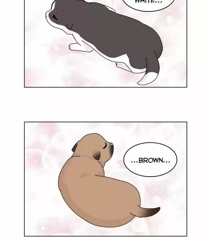 I Gave Birth to a Dog Ch.031