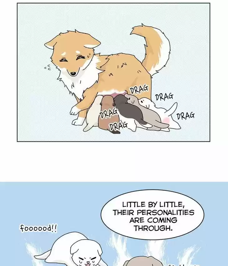 I Gave Birth to a Dog Ch.031