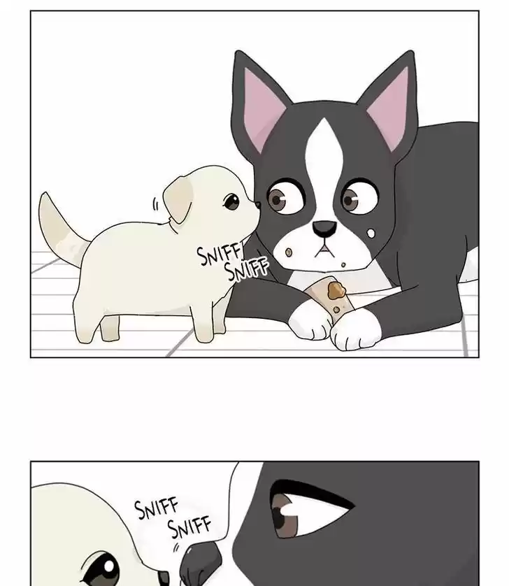 I Gave Birth to a Dog Ch.032