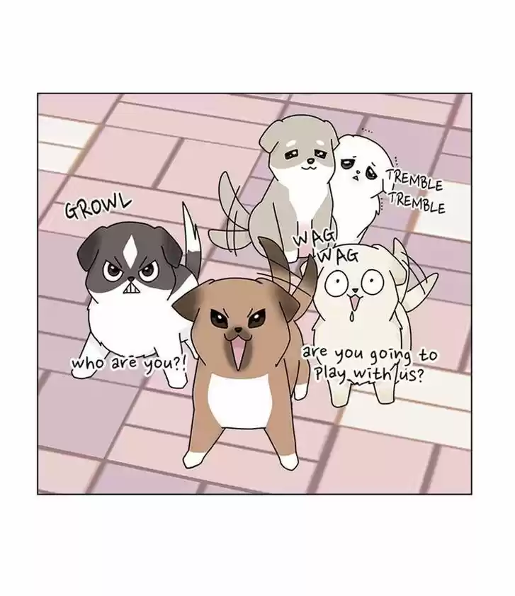 I Gave Birth to a Dog Ch.033