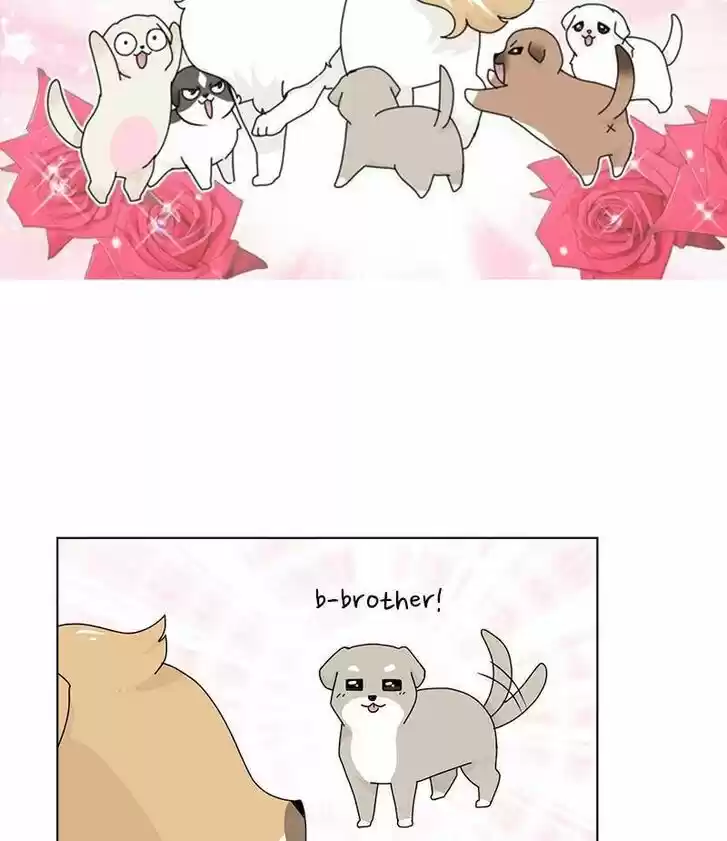 I Gave Birth to a Dog Ch.033