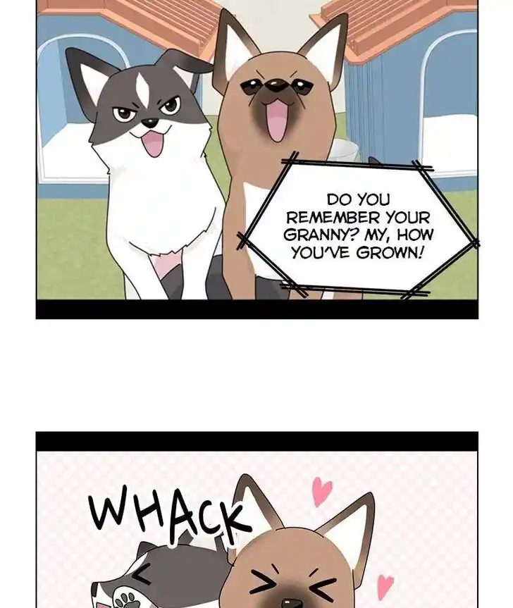 I Gave Birth to a Dog Ch.034