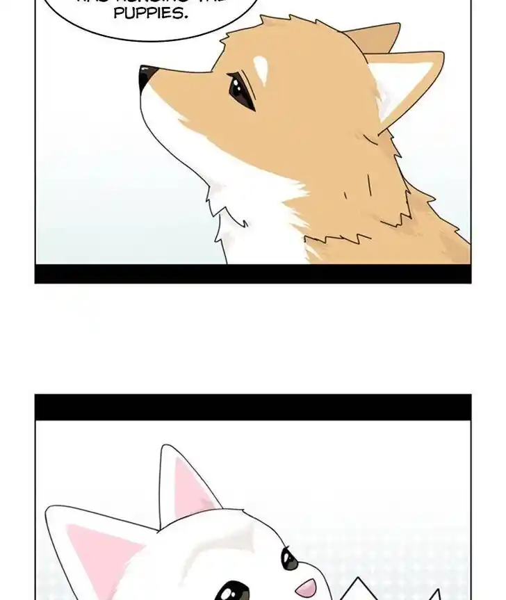 I Gave Birth to a Dog Ch.034