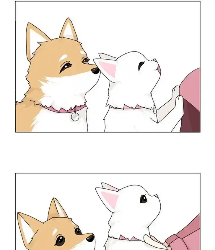 I Gave Birth to a Dog Ch.035