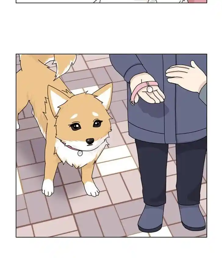 I Gave Birth to a Dog Ch.035