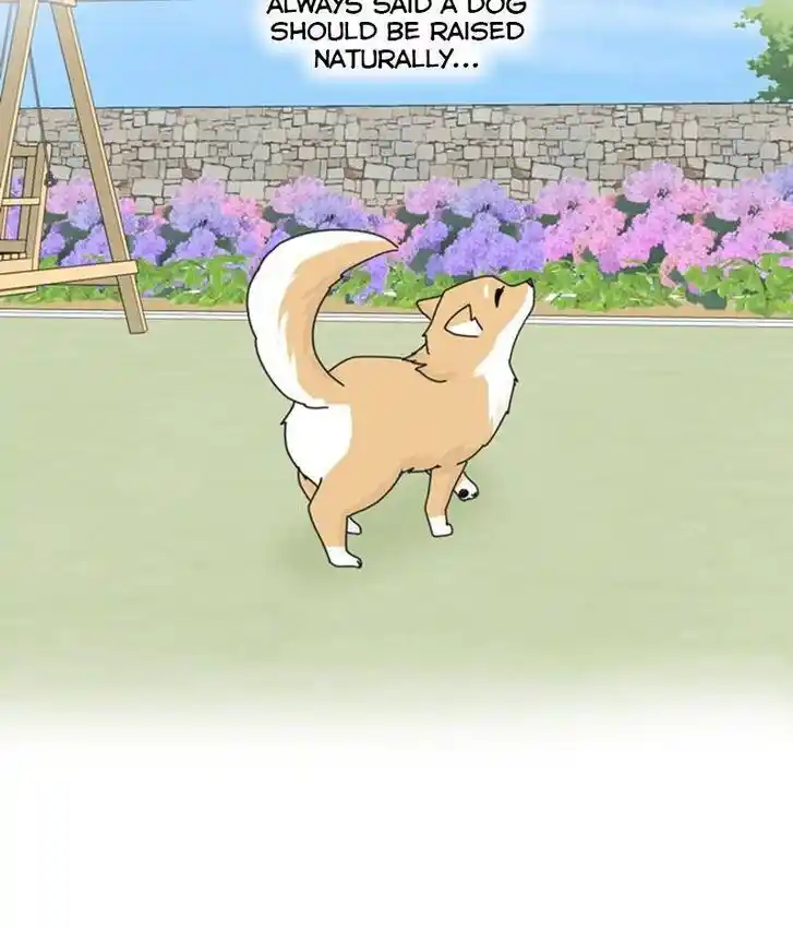 I Gave Birth to a Dog Ch.035