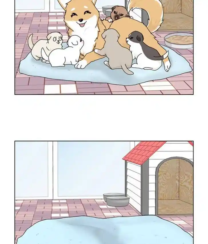 I Gave Birth to a Dog Ch.035