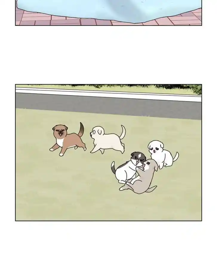 I Gave Birth to a Dog Ch.035