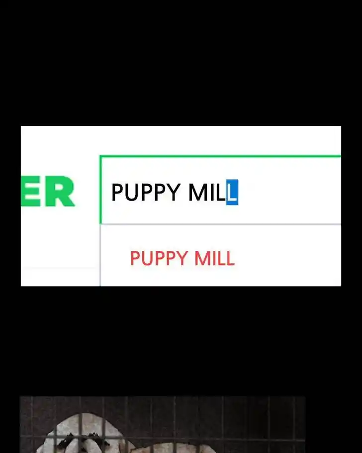 I Gave Birth to a Dog Ch.042