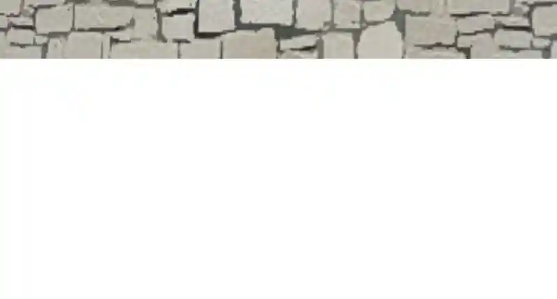 I Gave Birth to a Dog Ch.043